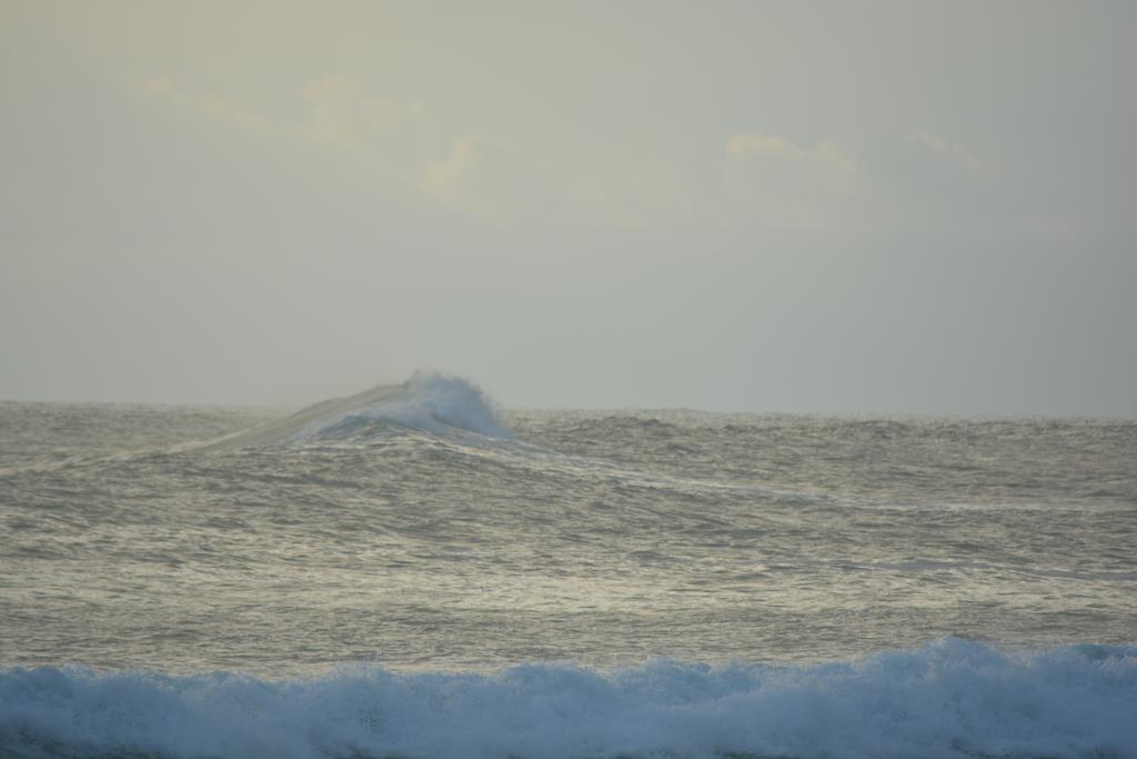 Indigo Yoga Surf Resort Malpais Buitenkant foto